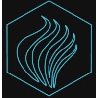 Flacara Impex SRL logo - Similar company to Getech Automation Srl