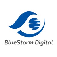 BlueStorm Digital logo - Similar company to Digital380