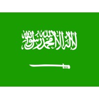 SAUDI ARABIA VISA logo - Similar company to Deepblue Energy