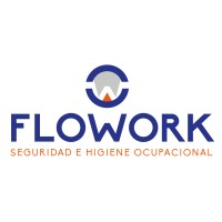 FLOWORKSRL logo - Similar company to Tridex Systems