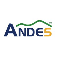 Andes Technology logo - Similar company to Codasip