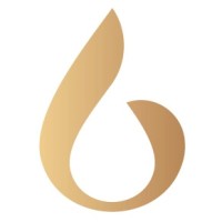 Balian Springs Wellness Club logo - Similar company to Direct Connection Solutions