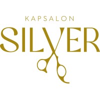 Kapsalon Silver logo - Similar company to Kapsalon Gewoon Jansen