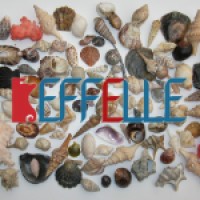 EFFELLE logo - Similar company to Ocone 1910 | Taburno Wine County