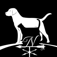 North Airline Animal Hospital, Llc