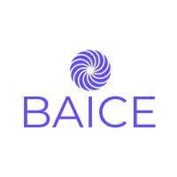 Baice logo - Similar company to Lever.Tax