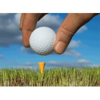 Boardroom Golf