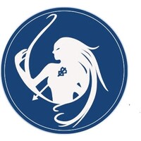 Virgin Archer Solutions & Technologies