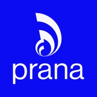 PRANA - Vitalidade Empresarial logo - Similar company to Fila Digital