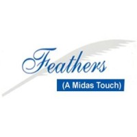 Feathers Management Services Pvt. Ltd. logo - Similar company to Abhith Technologies