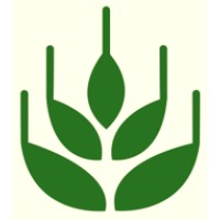 Cloud IT Solutions LLC-FZ logo - Similar company to It Junctions