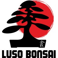 Luso Bonsai