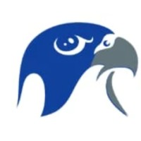 GrineFalcon Technologies logo - Similar company to Ivyparse