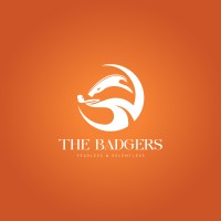 The Badgers logo - Similar company to Scarlex