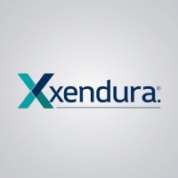 Xendura logo - Similar company to Deepdive Insights
