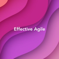 Effective Agile logo - Similar company to The Change Tribe