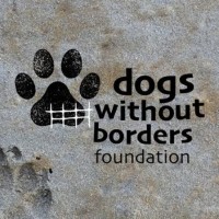 Dogs Without Borders Foundation logo - Similar company to Dm Playbook