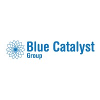 Blue Catalyst Group logo - Similar company to Capioit