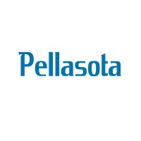 Pellasota Consulting logo - Similar company to B2E Data Marketing, Inc