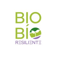 Biobío Resiliente logo - Similar company to Landopp