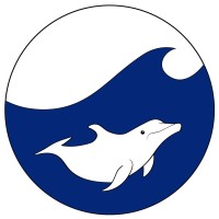 Mundo Azul int logo - Similar company to Mundo Azul