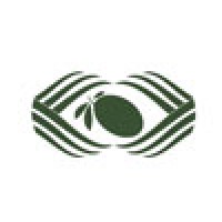 Black Olive Ventures Pvt. Ltd. logo - Similar company to Management Development Institute, Gurgaon