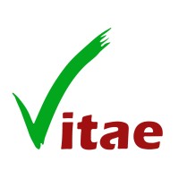 Constructora Vitae