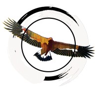 Rill Insights logo - Similar company to Learngistics