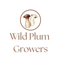Wild Plum Growers logo - Similar company to Imbokodo Mining Services