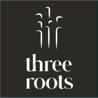ThreeRoots logo - Similar company to Decker & Co.