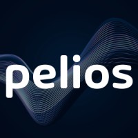 Pelios Llc - Leadership Advisory