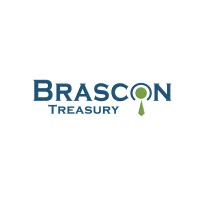 Brascon Treasury logo - Similar company to Brascom Solucoes E Tecnologia