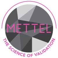 Mettle - The Science of Validation logo - Similar company to Graceful Pty Ltd
