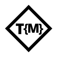 Techno{M}inds logo - Similar company to Google Developer Student Club Vc