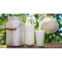 Milkshop logo - Similar company to Gdevcon Anz Inc