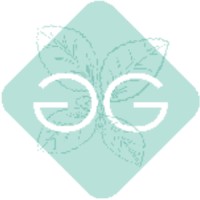 Loggicare naturals logo - Similar company to Internet Game