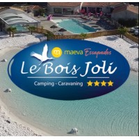 Camping le Bois Joli Vendée 85 avec lagon logo - Similar company to Sylvaplak