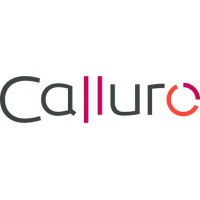 Calluro d.o.o. - Poslovno savjetovanje i EU fondovi logo - Similar company to Stemwise