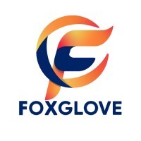 Foxglove Connect Pvt. Ltd. logo - Similar company to Elevadas Technologies