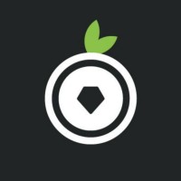 fruitstone logo - Similar company to Quality Vector Technologies Private Limited