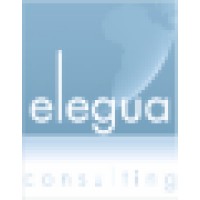 Elegua Consulting