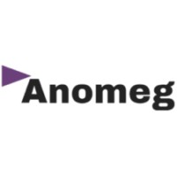 Anomeg Consulting LLC logo - Similar company to Baro Technologies