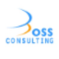 Boss Consulting SA logo - Similar company to Arcadia Software Development