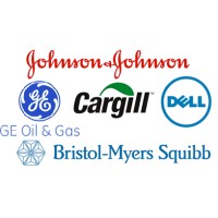 Fortune 500 Companies (Various) logo - Similar company to Rasa Growth