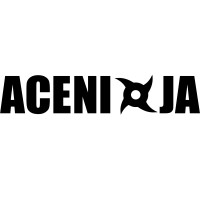Aceninja logo - Similar company to Accelgrowth