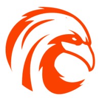 Flying Web Solutions logo - Similar company to Fletcher Digital