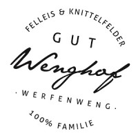 Gut Wenghof - Family Resort Werfenweng logo - Similar company to Nexwork Group