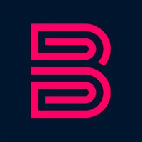 The Big Media logo - Similar company to Kubera Media