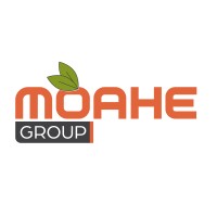 MOAHE GROUP logo - Similar company to Esterlab Tech