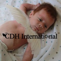 CDH International UK logo - Similar company to Cdh International - The World'S Oldest. Largest, And Leading Congenital Diaphragmatic Hernia Charity